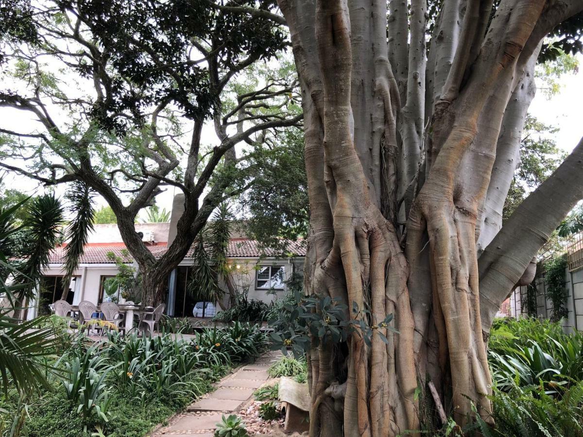 The Wild Fig Hotel Durbanville Ngoại thất bức ảnh